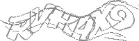 Check code