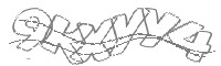 Check code